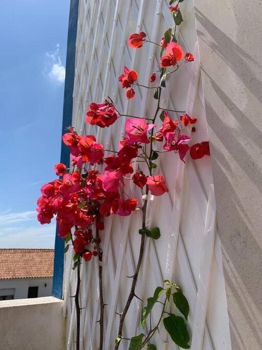 Joia Da Casa Villa Sobral  Kültér fotó